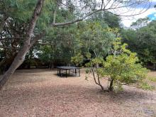 Ping Pong villa 40