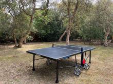 Ping Pong villa 40